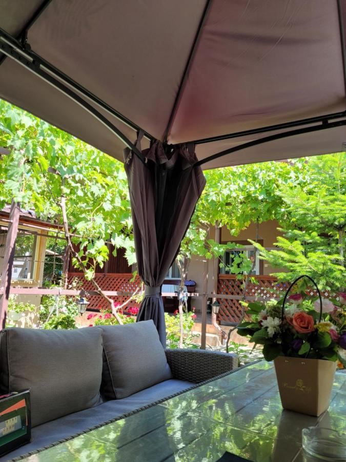 Casa Badea Hotell Murighiol Exteriör bild