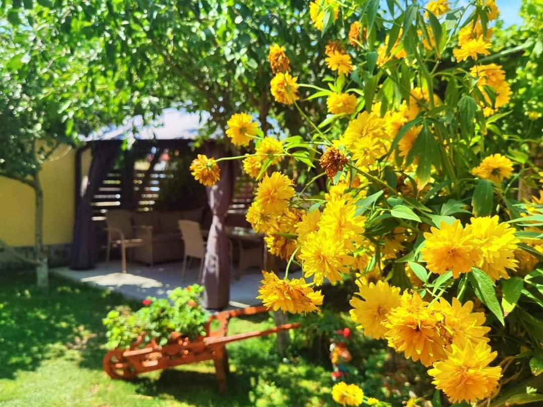 Casa Badea Hotell Murighiol Exteriör bild